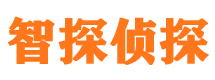 隆安婚外情调查